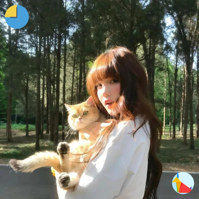 马女士